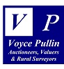 Auction Logo